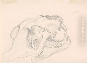 Study of a Skull (cat family? - fragment of an indistinguishable sketch)