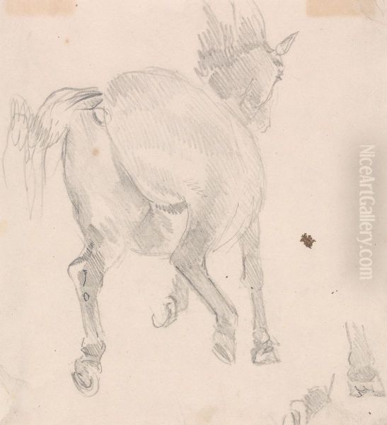 Study of a bear - view 1