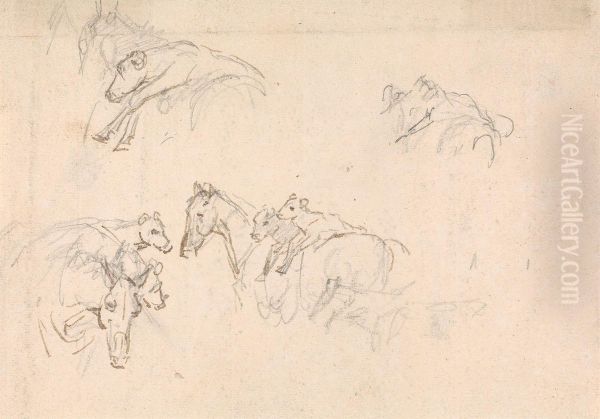 Study of Horses Carrying Calves on their Backs - view 1