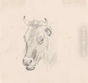 Study of a Cow's Head by Sawrey Gilpin