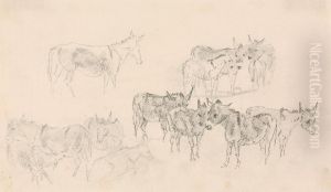 Studies of Donkeys