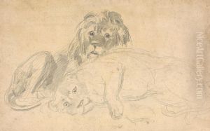 A Lion and His Mate by Sawrey Gilpin