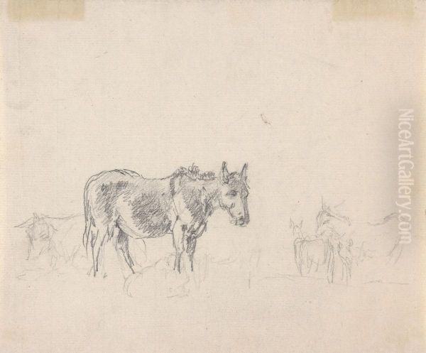 Study of donkeys - view 1