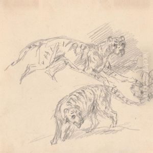 Studies of a tiger by Sawrey Gilpin