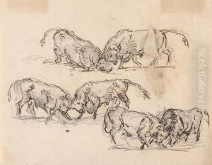 Studies of Bull Fighting by Sawrey Gilpin