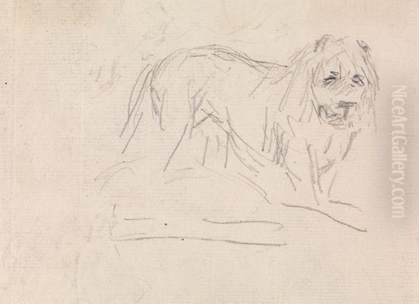 Study of a Lion - view 1