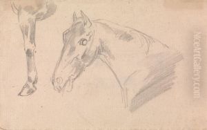 Study of head and neck of a horse by Sawrey Gilpin