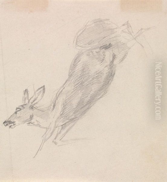 Study of a dead deer - view 1