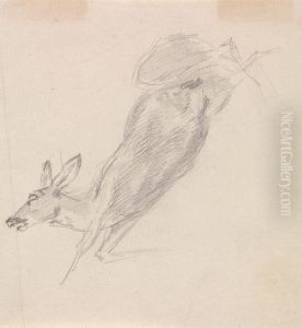 Study of a dead deer Study of a dead deer
