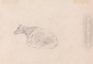 Study of a cow lying down by Sawrey Gilpin
