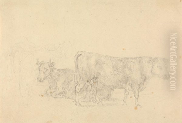 Study of cattle, bull in foreground facing right - view 1