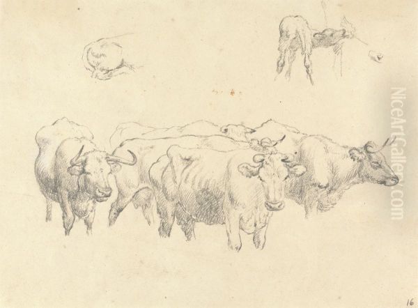 Study of Cows with Calf - view 1
