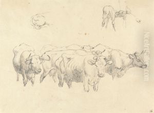 Study of Cows with Calf Study of Cows with Calf