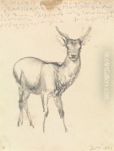 A Young Deer by Robert Hills