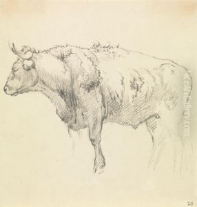 A Bull by Robert Hills