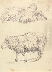 The Shearing