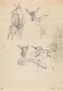 Deer and their Young