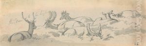 Stags and Deer at Rest