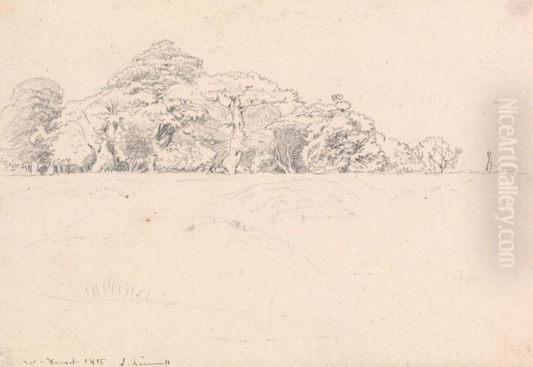Windsor Forest - view 1