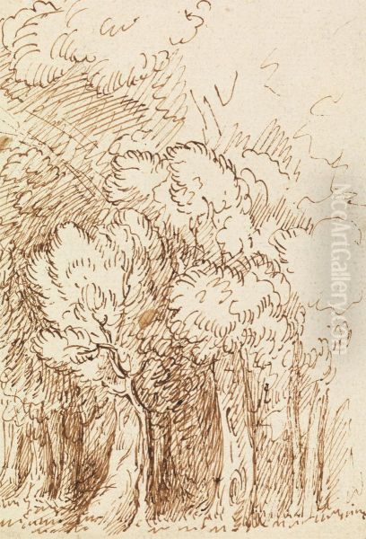 Study of Trees - view 1