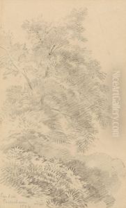 Study of a Tree on a Grassy Bank