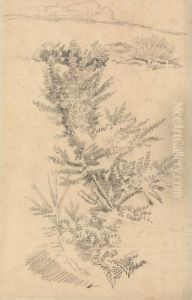 Study of Trees, etc., in a Meadow