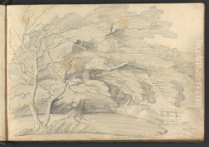 Trees at Buckham's Bridge Trees at Buckham's Bridge