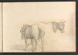 Studies from Nature (two horses) Studies from Nature (two horses)