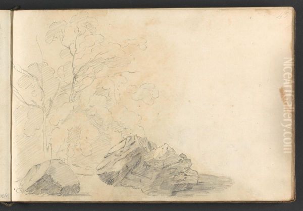 (A study of large rocks and trees) - view 1