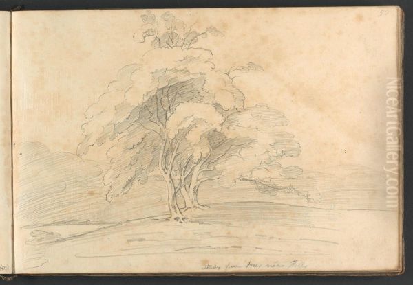 Study from trees near Folly - view 1