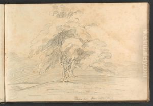 Study from trees near Folly