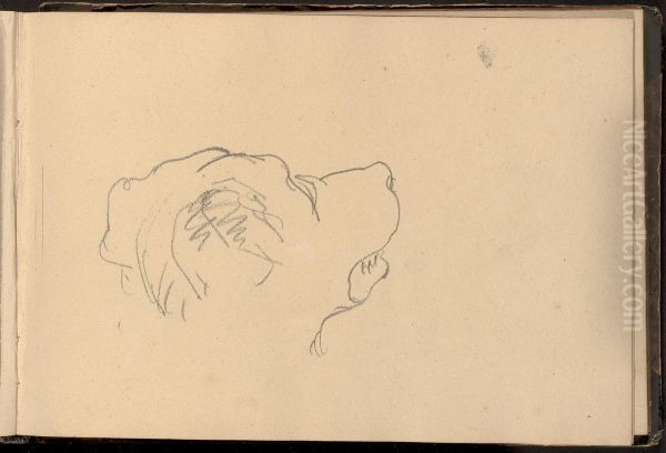 Sketch of a Dog's Head - view 1