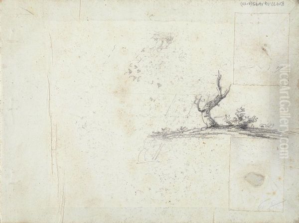 Sketch of a Tree (inverted) - view 1