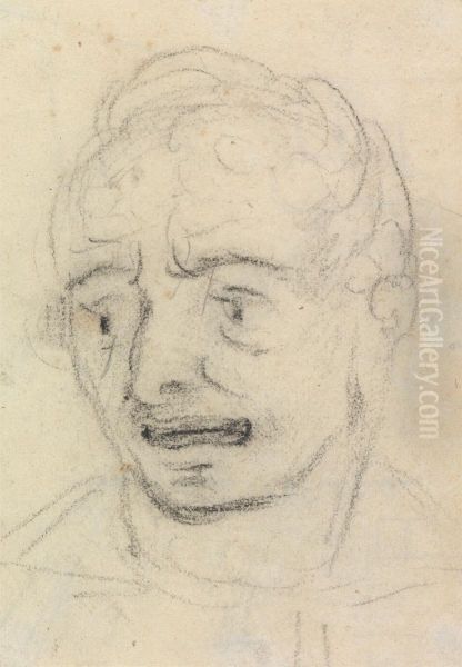 Portrait Study of a Man's Facial Expression - view 1