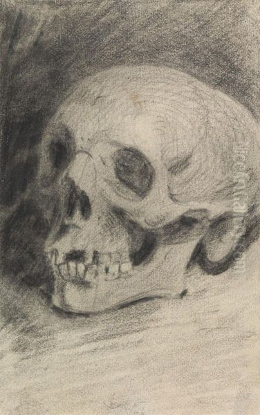 Study of a Skull - view 1