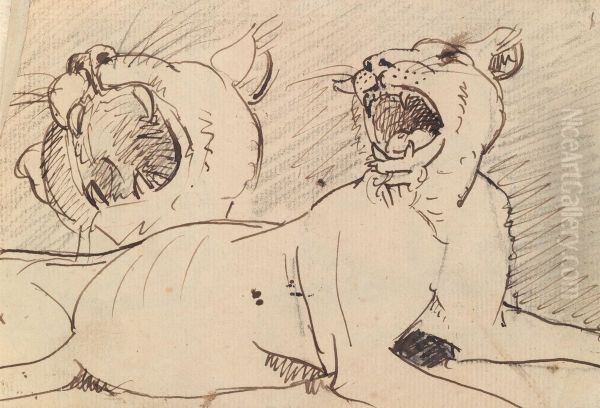 Study of a Lioness - view 1