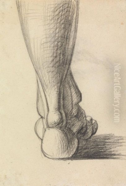 Anatomical Study of the Heel of a Foot - view 1