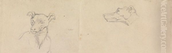 Sketch of a Dog - view 1