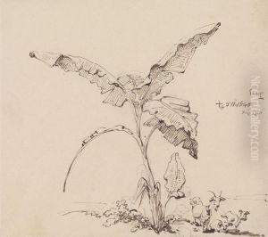 Goats Beneath a Banana Tree