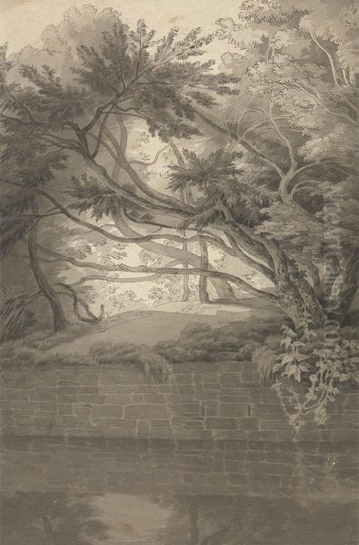 Trees Overhanging a Lake - view 1