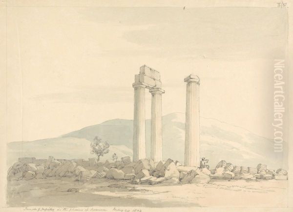 Remains of the Temple of Jupiter in the Plains of Nemea, Greece - view 1