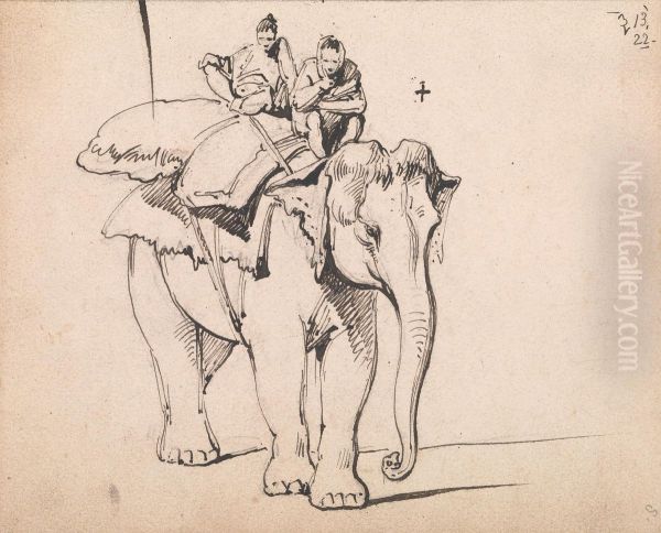 An Elephant - view 1