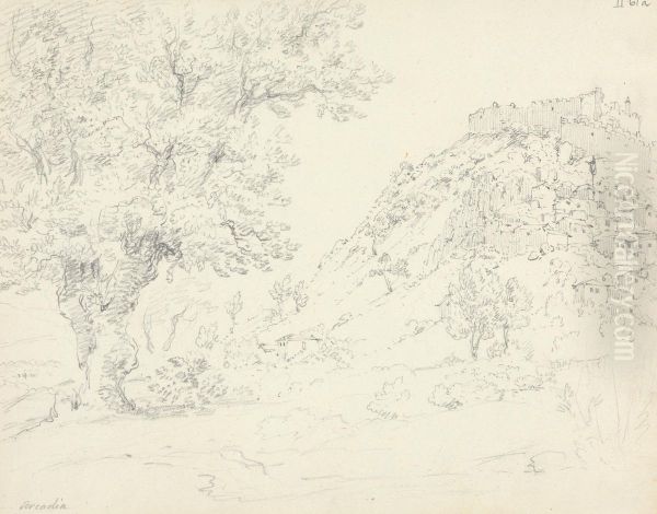 Arcadia - view 1