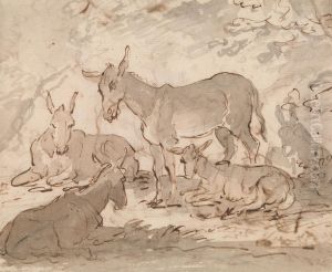 Donkeys Donkeys