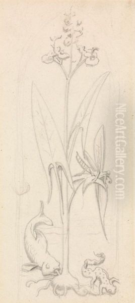 Stained Glass Study, Water Plant with Grasshoper, Fish and Newt - view 1
