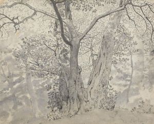 Tree Study Tree Study
