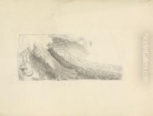 Architectural Drawing of a Stone Relief, Depicting a Bird of Prey by Robert Smirke