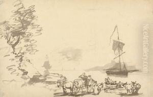 Shore Study