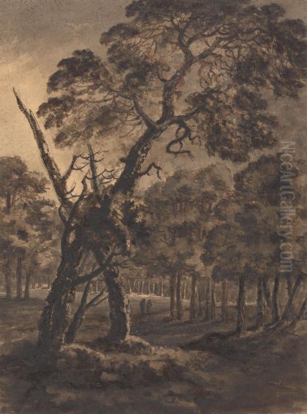Forest Scene - view 1