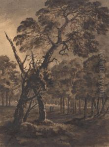Forest Scene